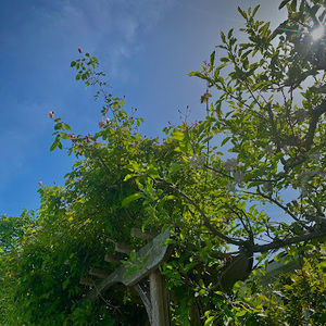 Meet your Posher, Sydney